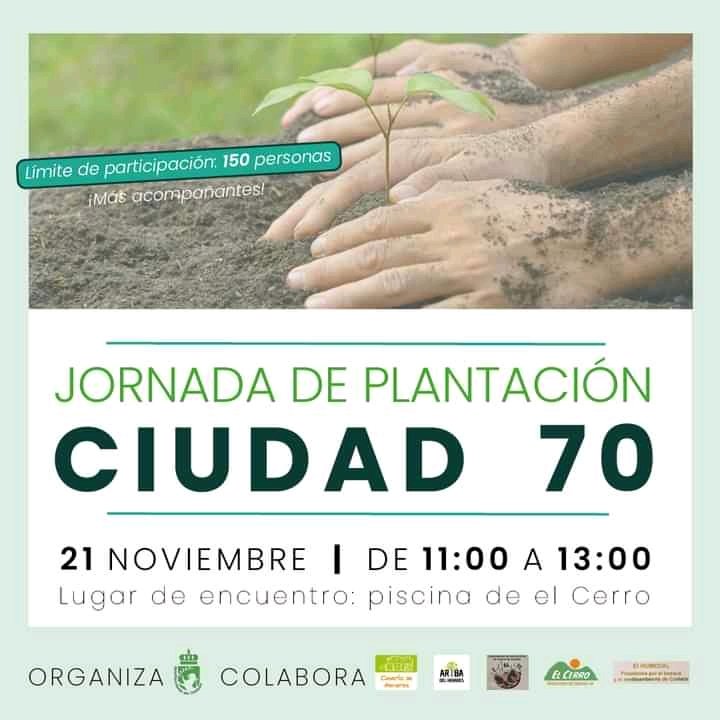 El Humedal, Plataforma por El Bosque y el Medio A. tweet media