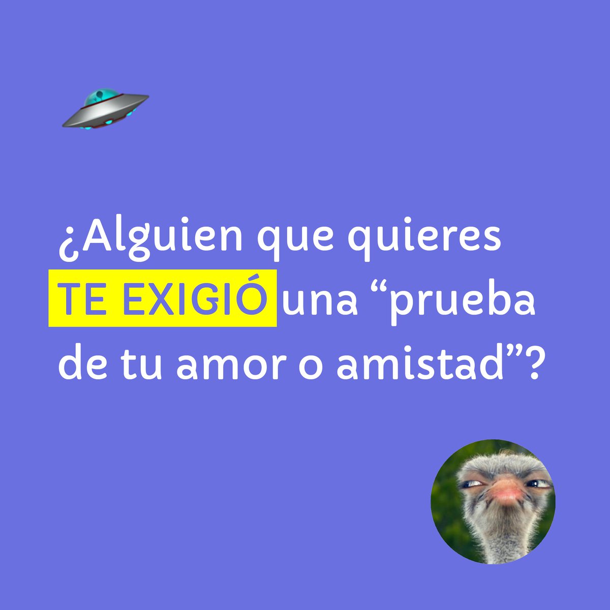 SINTRATA A.C. tweet media