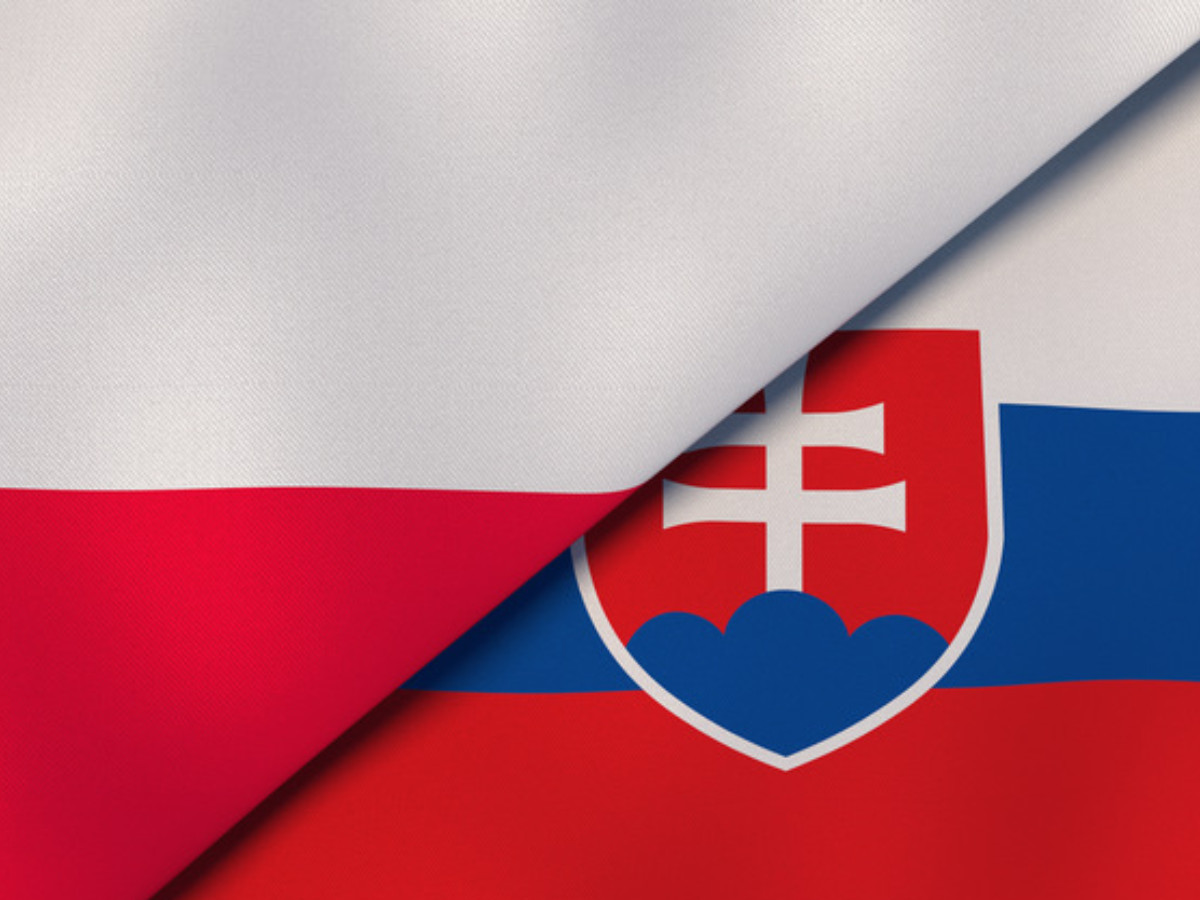 🇵🇱🇸🇰 Kilkudziesięciu słowackich intelektualistów podpisało list w obronie naszego kraju w sporze z Unią Europejską, komentował: dr Tomasz Teluk

👉trimarium.pl/slowacy-solida…