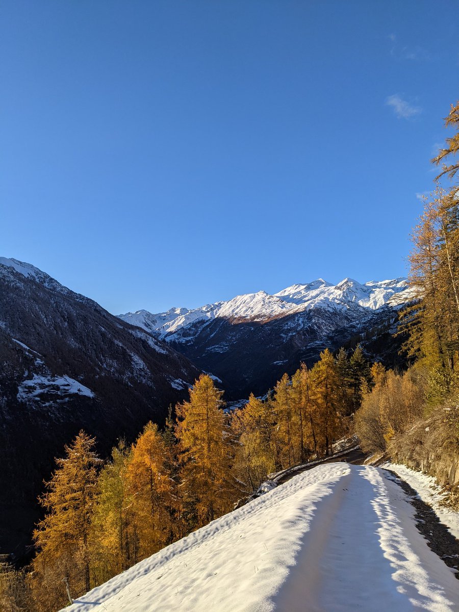 Sandro Gianella tweet media