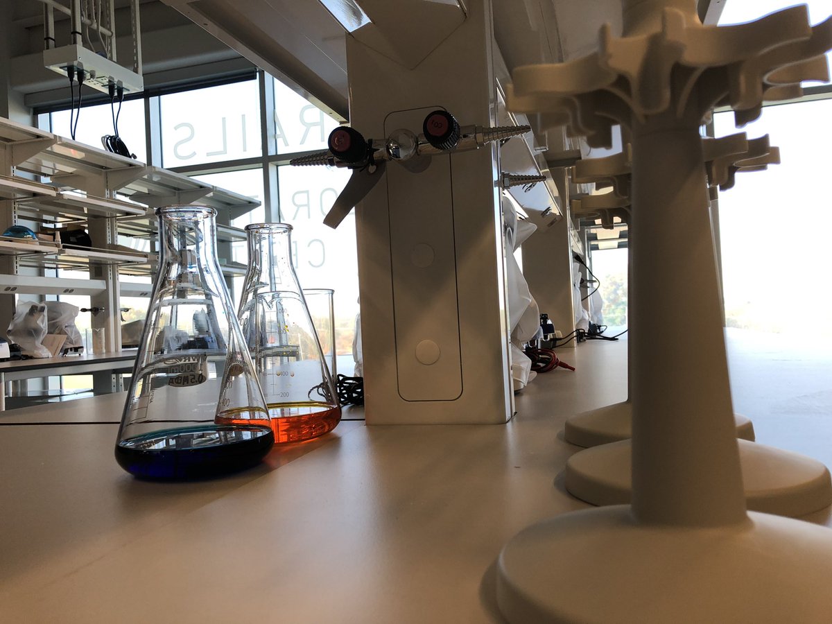 Becky Plate tweet media