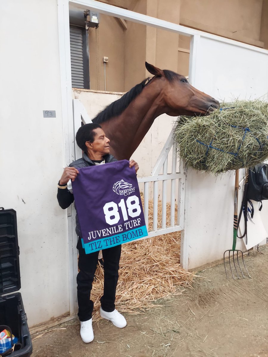 PhoenixThoroug1's tweet photo. TIZ THE BOMB getting fuelled up ahead of his run in the @BreedersCup Juvenile. #BC21 #BreedersCup #FutureStarsFriday https://t.co/1hQtYLxjBh