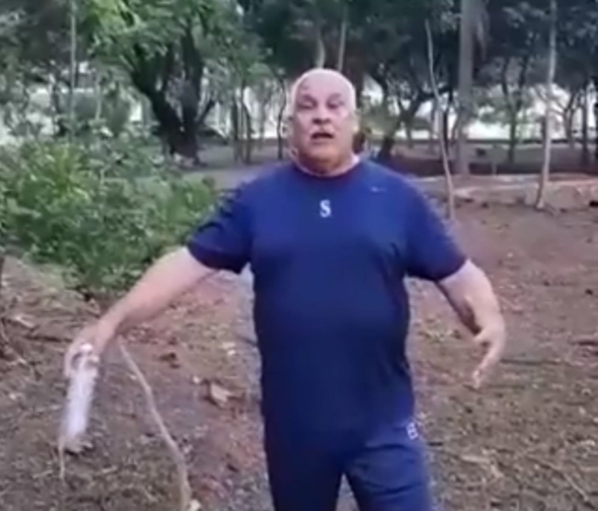 ¡Por favor paren este crimen ya! Jaime David denuncia la poda de árboles en parque Mirador Sur dlvr.it/SBygps #NDigital