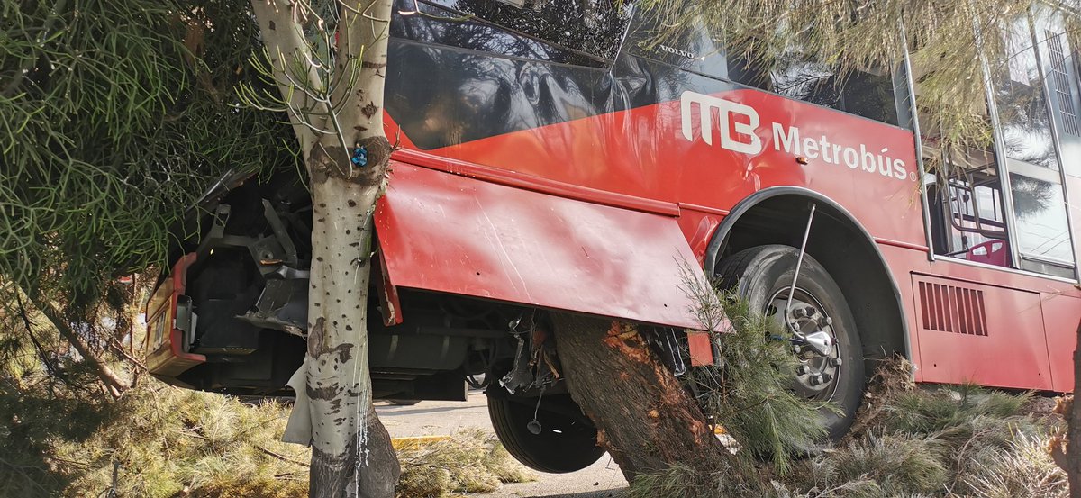 canal6tv's tweet photo. 💥Ocho personas resultaron lesionadas esta mañana luego de que una unidad del Metrobús chocara contra un árbol en Av. Francisco Morazán, en @TuAlcaldiaGAM. Al respecto, el #Metrobús informó que el accidente fue provocado por un motociclista que invadió el carril y huyó del lugar. https://t.co/uteDCZJ5Ny