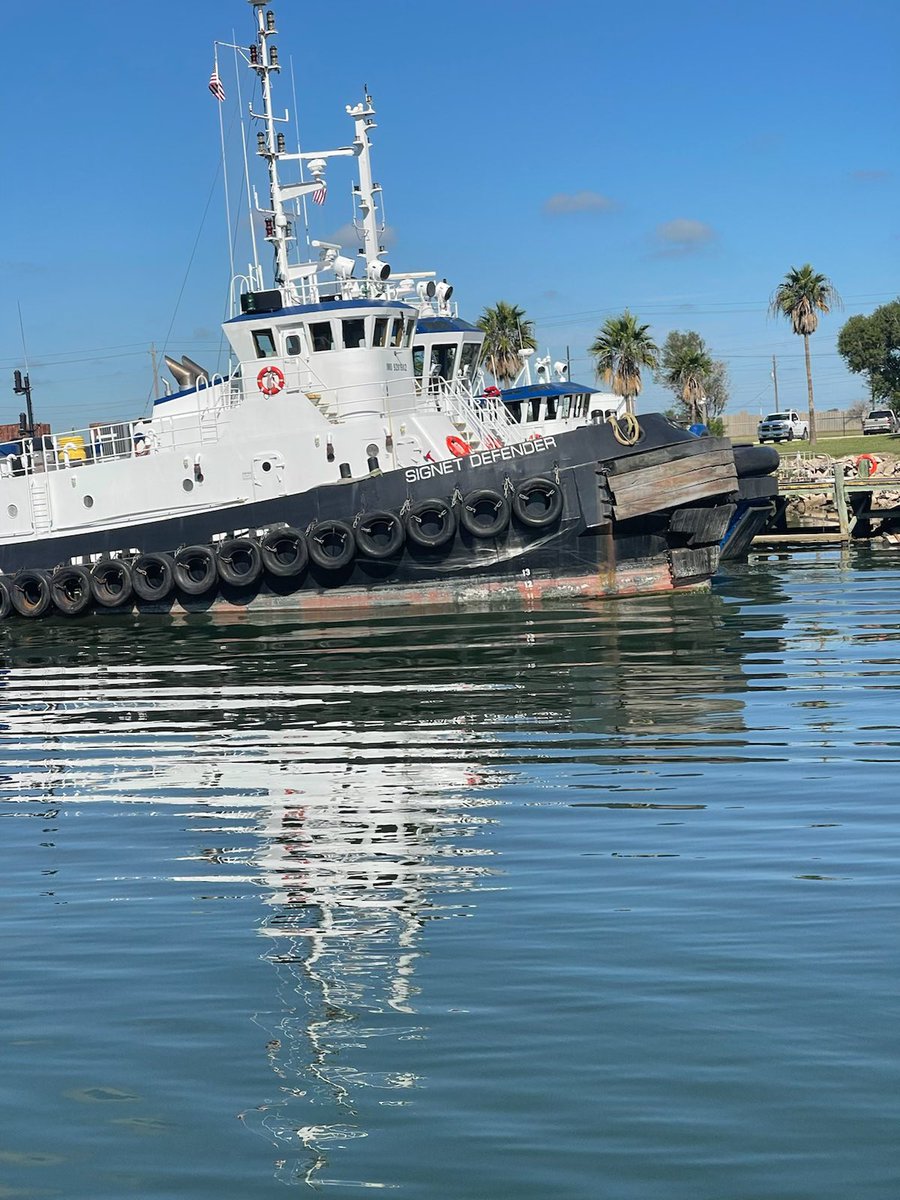 tours_isla's tweet photo. Check out a #portofbrownsville Nature Tour this week! Tuesday &amp; Thursday - every week! Call for details 956.761.4752 #spi #sopadre #southpadre #southpadreisland https://t.co/9Ur8i3aW4S