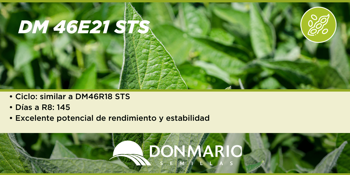 DONMARIOoficial's tweet photo. 🌱 La mejor decisión para ambientes de alta productividad. #DM46E21STS
Consultá por disponibilidad en la web
👉https://t.co/L46aycwp7l
#SojaDM #DaMás https://t.co/br14EmnzVg