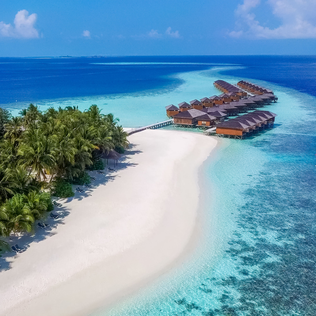 AwayHolidays's tweet photo. #Maldives The Paradise 

07 night stay Vilamendhoo Island Resort &amp; Spa from 1399* per person 

Inclusions:
🛏️Garden Villa on twin sharing 
🍛Full board 
👍Return Sea Plane transfers
😍Save up to 20% 

Valid for selected departure dates in June and July 2022.

☎️ 0208 705 0115. https://t.co/PxVObVQkt7