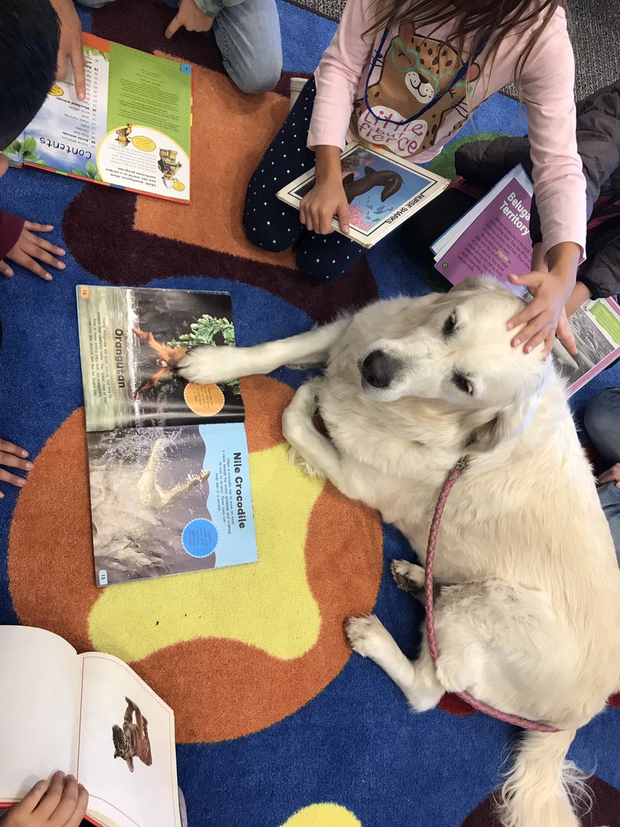 TherapyDaisy's tweet photo. About 18 months later &amp; Daisy is back in action! Around 75 kindergartners enjoyed telling Daisy about their books &amp; received a bookmark to take home. What great bunch of kids at Cedar Ridge Elementary. https://t.co/SWHjo3BGy5