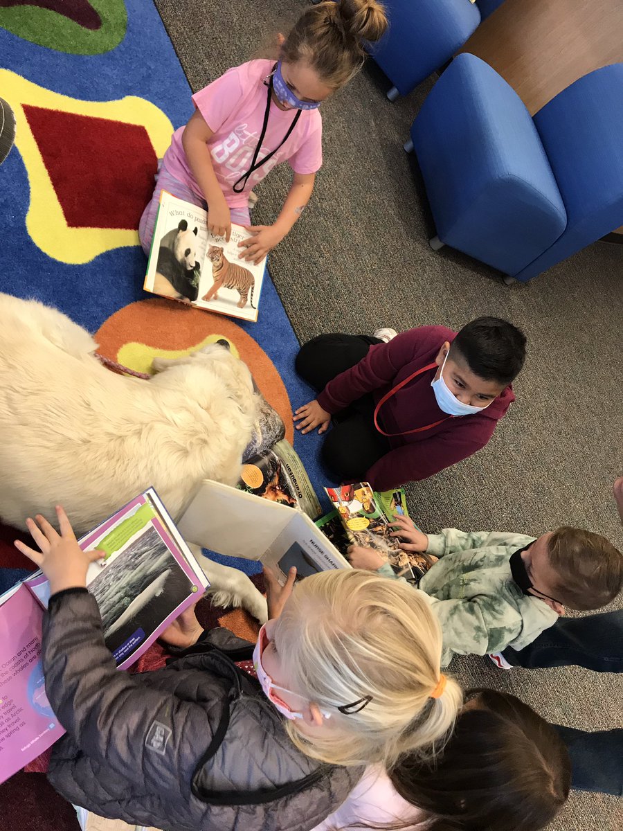 TherapyDaisy's tweet photo. About 18 months later &amp; Daisy is back in action! Around 75 kindergartners enjoyed telling Daisy about their books &amp; received a bookmark to take home. What great bunch of kids at Cedar Ridge Elementary. https://t.co/SWHjo3BGy5