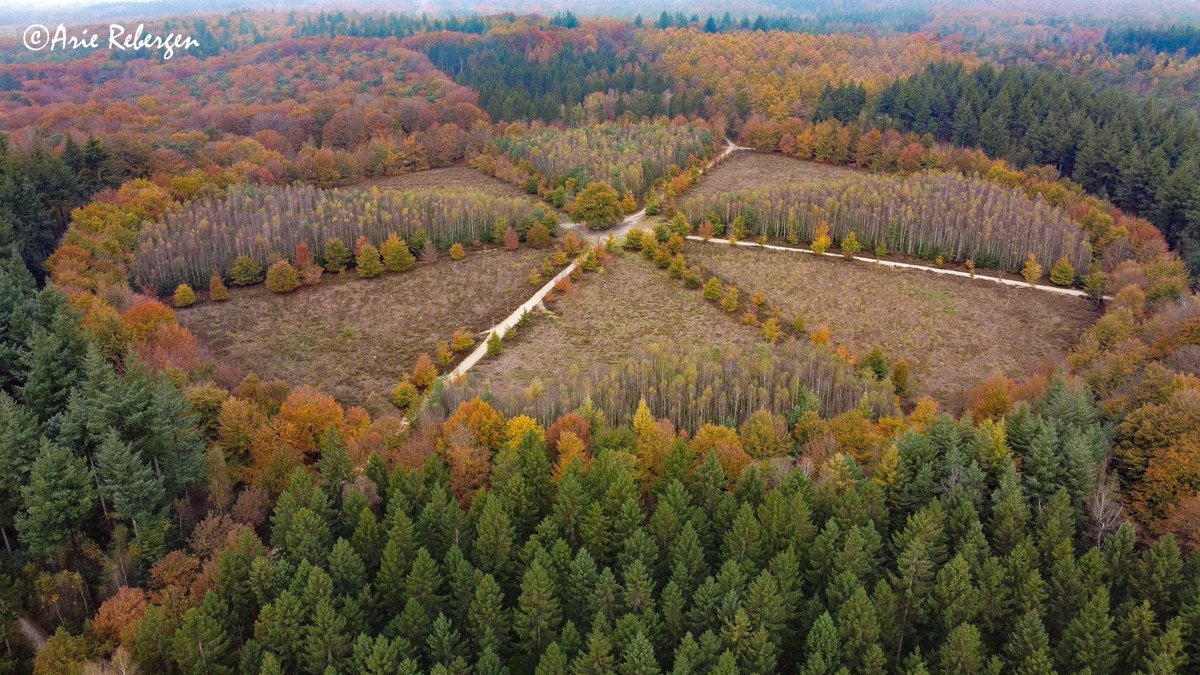 RebergenA's tweet photo. Amerongen het karrenwiel en de eenzame eik 2021…. https://t.co/8CAkxPz5yp