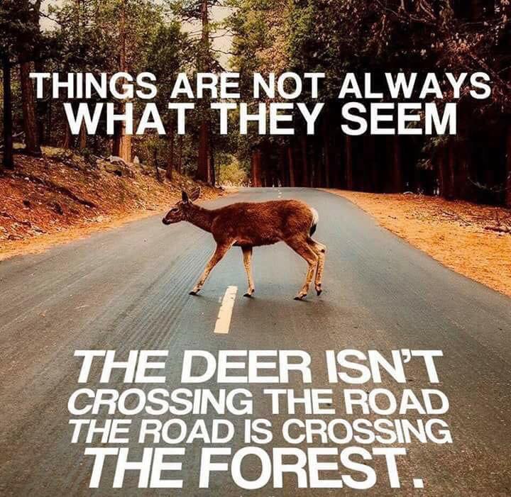 AmericanIndian8's tweet photo. #INDIGENOUS #TAIRP https://t.co/c1enJozQ1y