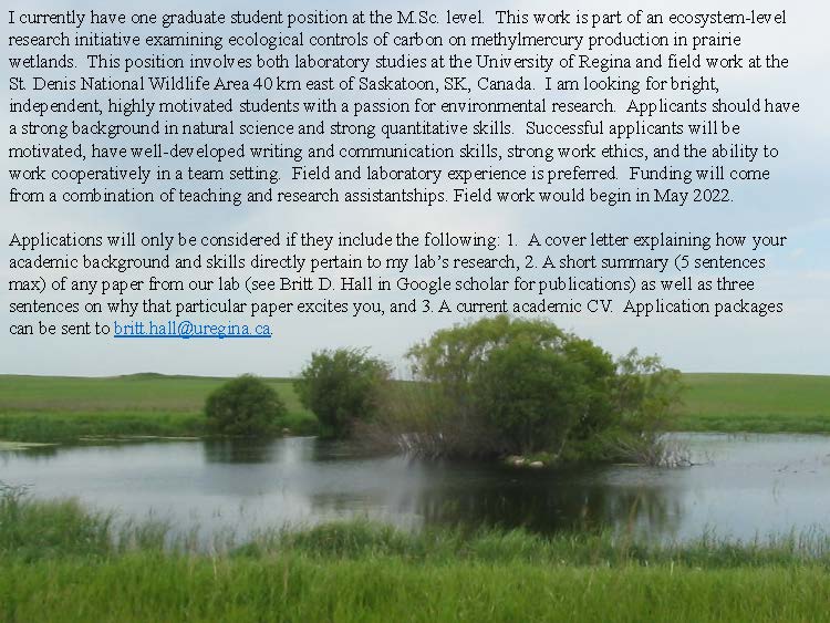 brittdhall's tweet photo. MSc opportunity - Hg and DOC biogeochemistry https://t.co/05qcD79fN4