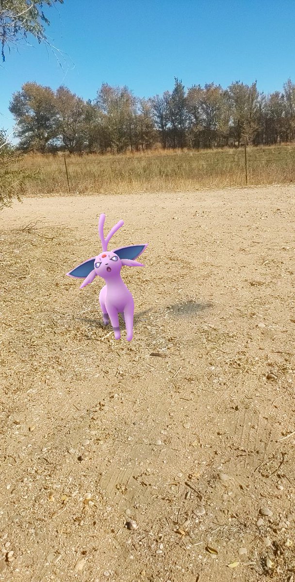 sjaramillo719's tweet photo. Espeon is the best Eevee Evolution. Change my mind. #PokemonGoRaids @PokeRaidApp #PokeRaidApp https://t.co/T3hgjEuXMP