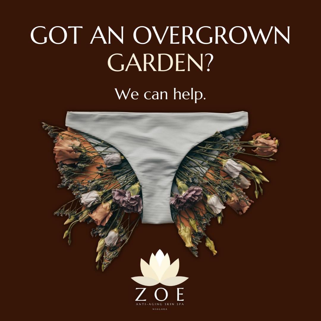 We specializes in sugar-based hair removal &amp; Brazilians. Tending to your garden can be a very intimate experience. We pride ourselves on giving our guests a safe, clean &amp; comfortable environment. Don't let your garden get out of control this winter. Call 905-988-9633 today