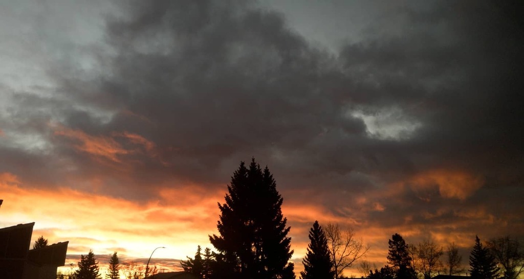 SugarSagePhoto's tweet photo. What a gorgeous sunrise today! 

#nofilter #yyc #yycsunrise #sunrise #yycliving https://t.co/N7Fo6rWm4i https://t.co/q8cKQ7dC7l