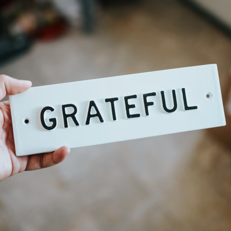 zonaroofingaz's tweet photo. November is #NationalGratitudeMonth. Let's start it off by making a list of things we are most grateful for in the comments! 

We'll start - we're thankful for the families and businesses who place their trust in us 😊
.
.
.
#ZonaRoofing #AZRoofing #ArizonaRoofing https://t.co/3uuBZAKCKQ
