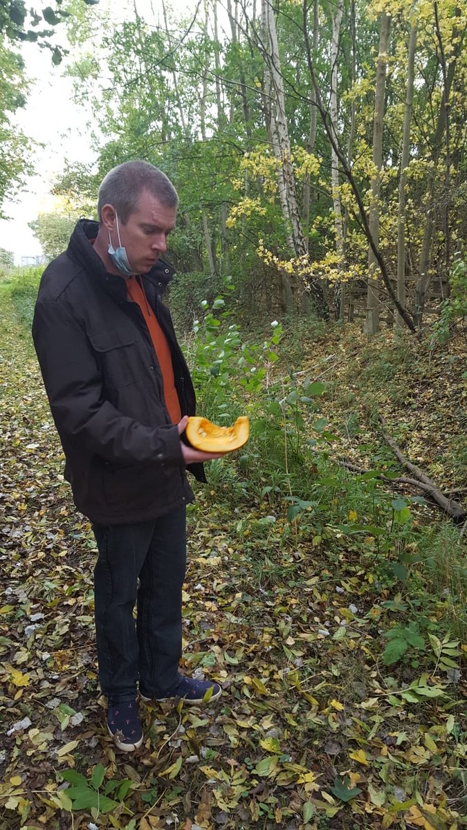 Don't bin your pumpkins! 🎃 Be a wildlife hero 🦸‍♀️ Artworks Milton are being wildlife heros by scattering left over pumpkins around the woods to give a little treat to local wildlife #beawildlifehero 💜💚