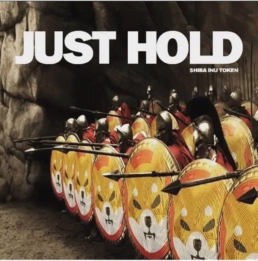 DutchCryptoGeek's tweet photo. Sorry for the people who sold their #SHIB i’m holding! #SHIBARMY #STRONG #Crypto https://t.co/XH1TEq1kzY