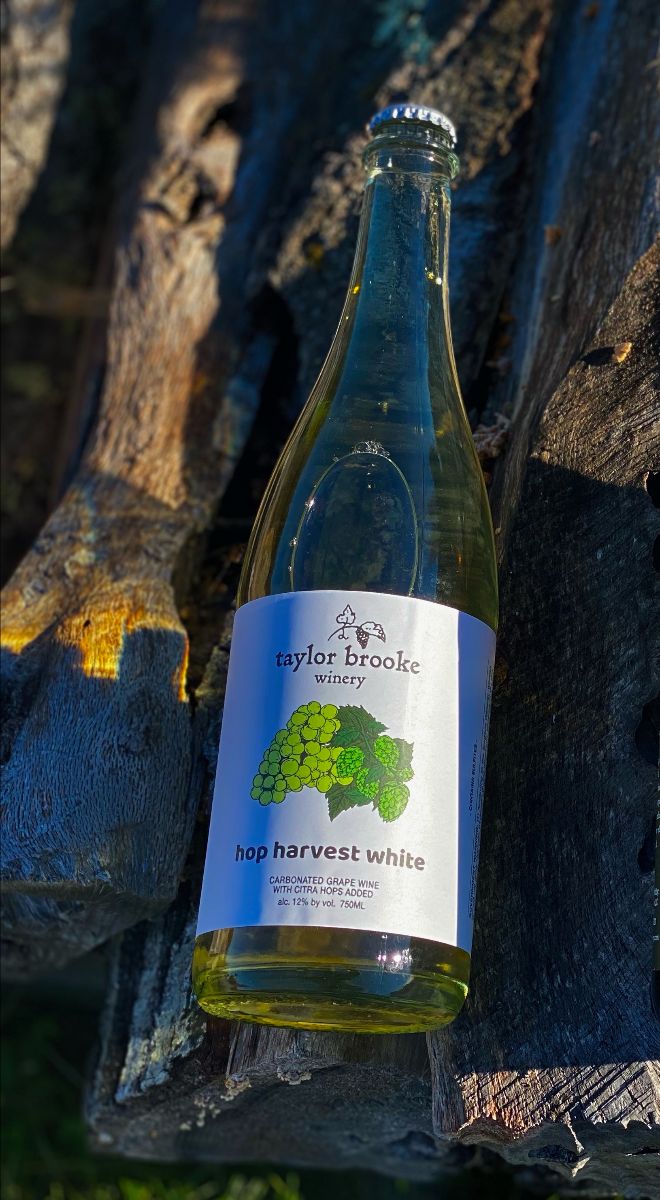 New Wine: Hop Harvest White 

This unique journey starts right away with a dual nose of tangerine, grapefruit, and honey from the grapes as well as classic notes of Citra hops in the form of guava, mango, and passionfruit. - mailchi.mp/taylorbrookewi…