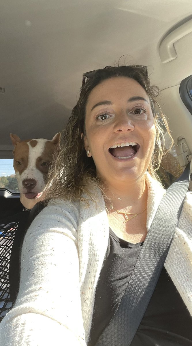 AliciaKClark's tweet photo. Road trip! Taking momma Penny to her new foster home and hopefully it turns into her Furever Home! #donotcry #FostersSaveLives https://t.co/5DQejE0cV6