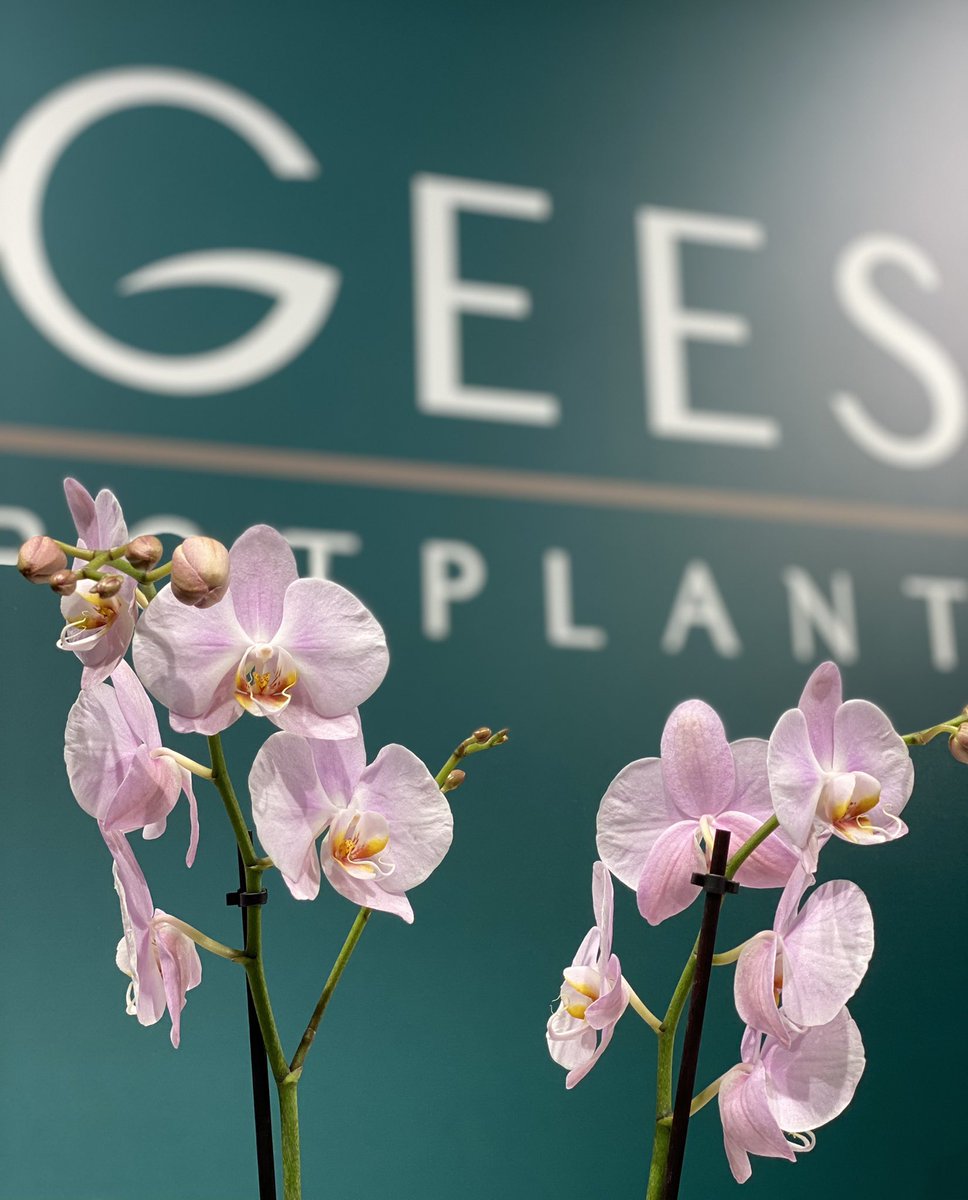 Wat gaat zo’n beursweek toch snel!