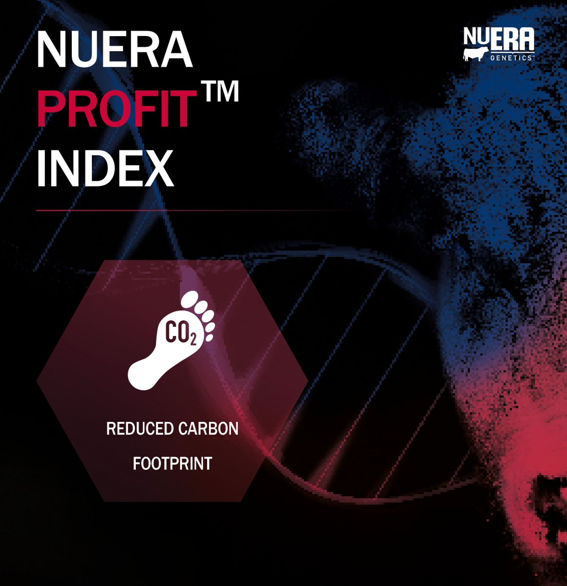 GenusABS's tweet photo. ➡️ Increase the sustainability of your beef supply chain using our NuEra Profit™ Index!
🤔 Did you know that the overall carbon footprint is 1️⃣1️⃣% lower for our Beef InFocus™ Proft Max sires?
https://t.co/FhgRiKwEAw
#BeefInFocus #NuEraProfit #COP26 https://t.co/ECNvvBPTjk
