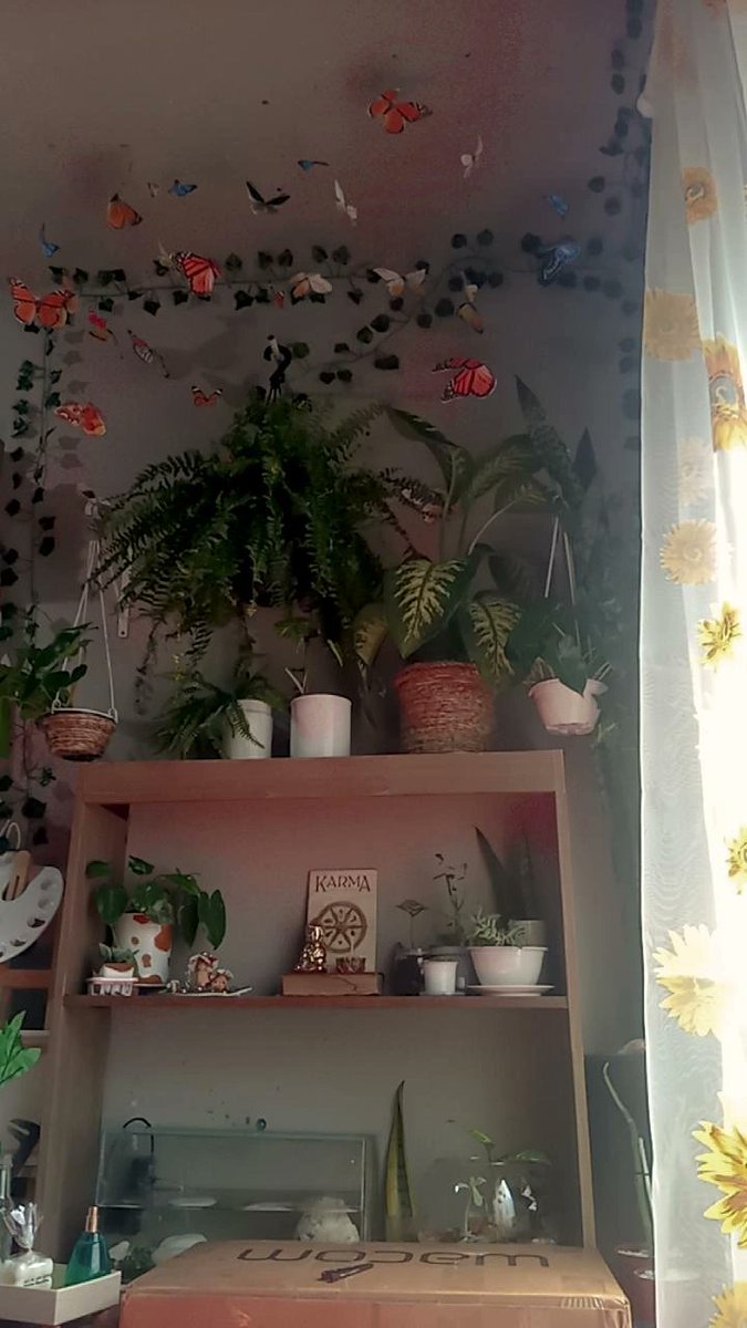 mikhasso's tweet photo. Fotinhas ao vivasso pra vocês por motivos de: cortei meu cabelinho e raptei umas planta no quintal KKKKKKKKKKK 

Bom dia 💚 https://t.co/FPjhb7hXzF