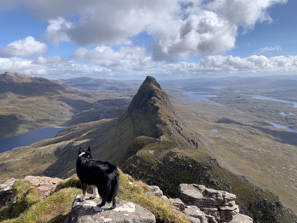 For me, hillwalking without a dog is an empty experience. Dogs live in the moment, they are invigorated by the sights and smells of the hills. They do not worry about what may lie ahead or what has passed before. Maybe we should all try to be more dog?