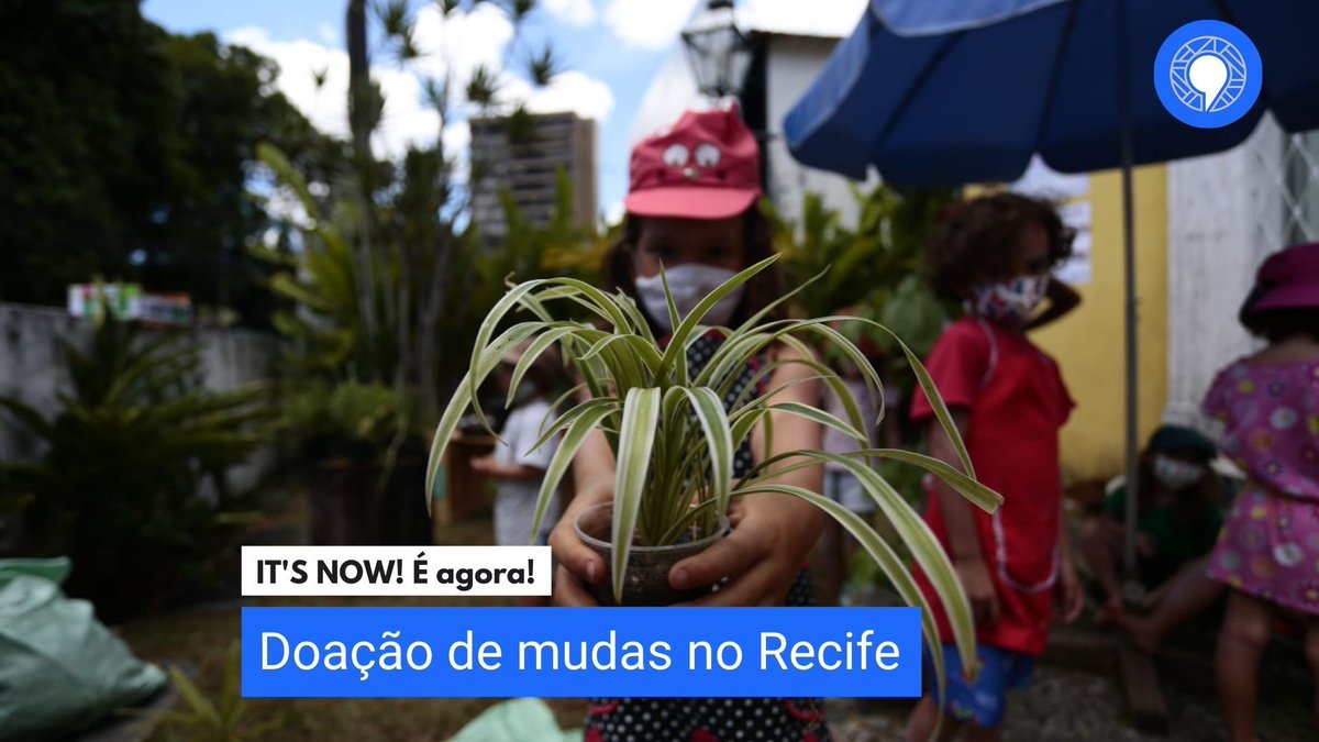 Marco Zero Conteúdo tweet media