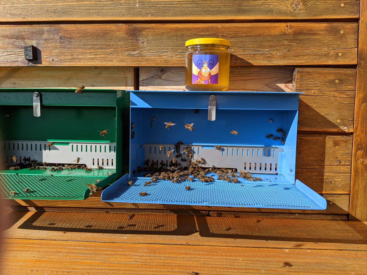 BuzzClubNFT tweet media