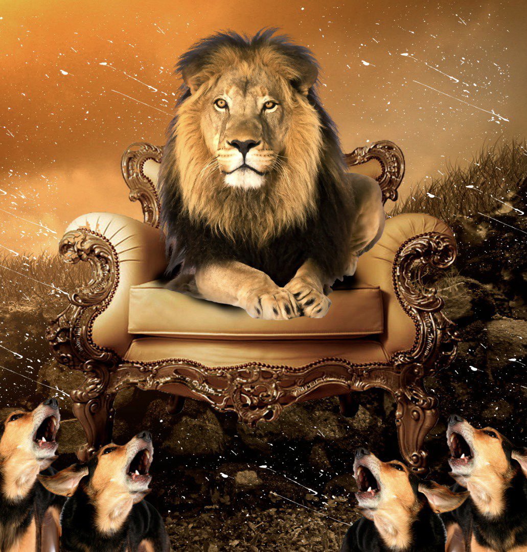 Лев в джунглях картина. Хроники нарнии люси певенси и аслан. Лев 17. Кер граффин. Скульптуры львы щи за.