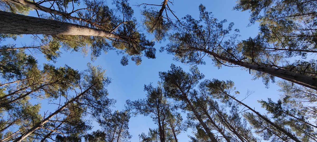 IP Broadcast TV tweet media