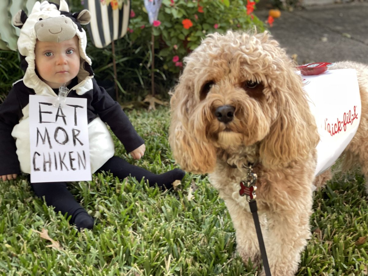 Cody_Gleason's tweet image. #eatmorchiken #HappyHalloween @ChickfilA