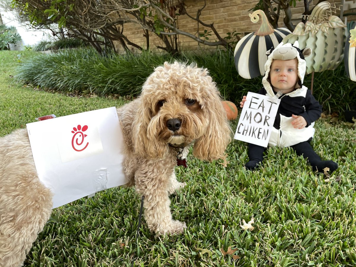 Cody_Gleason's tweet image. #eatmorchiken #HappyHalloween @ChickfilA
