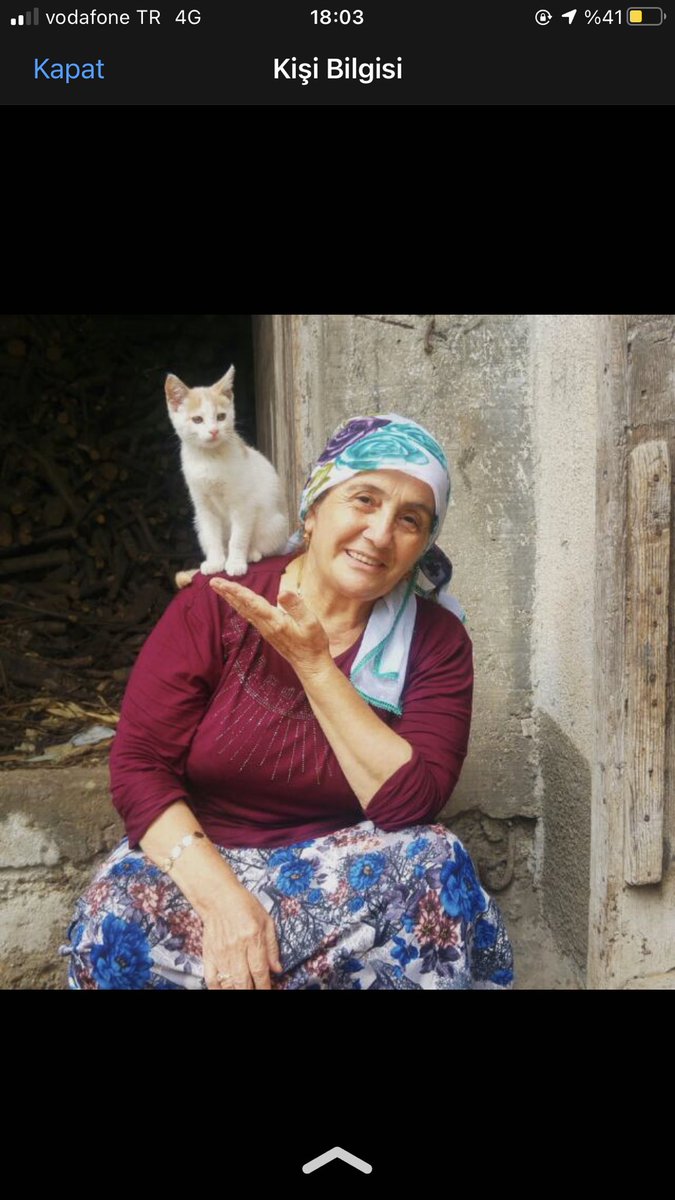 ELİF KÖSTERELİ tweet media