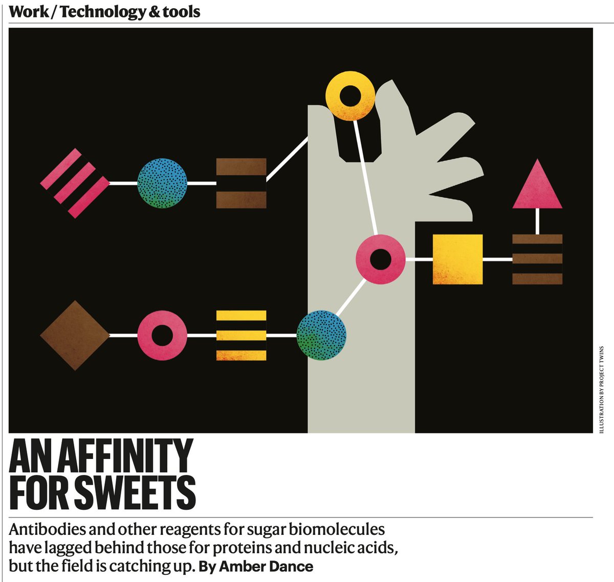 SFGlycobiology tweet media