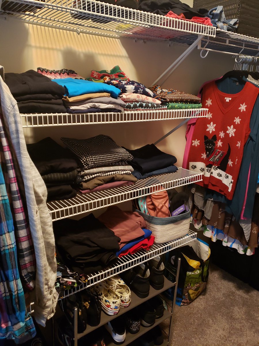 Purple Tally tweet media