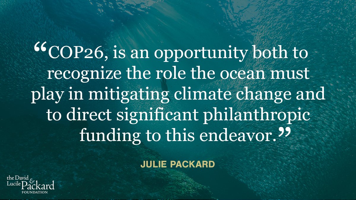 Our ocean 🌊takes care of us—giving us beaches to play on, food to eat, &amp; livelihoods that support our communities—all while fighting #ClimateChange. 

The ocean needs to be an essential player in #COP26 discussions. #OceanClimateAction 

More here ➡ bit.ly/3EJD7bR