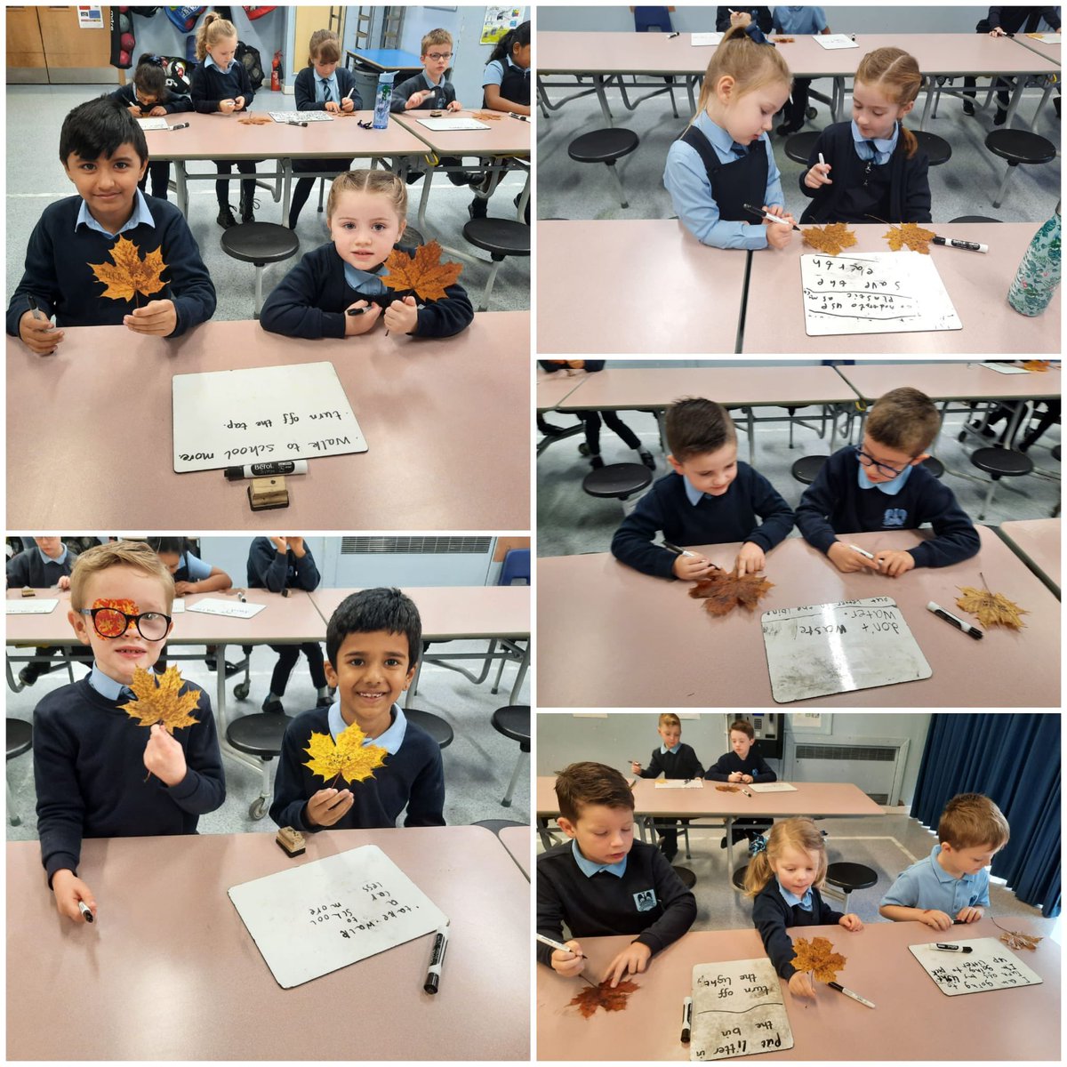 CarnbroePS's tweet photo. P3 and P1 put their bird food outside and wrote their promises to help climate change on leaves today! ๐ ๐ #COP26 #treeofpromises https://t.co/lgct88FhiK