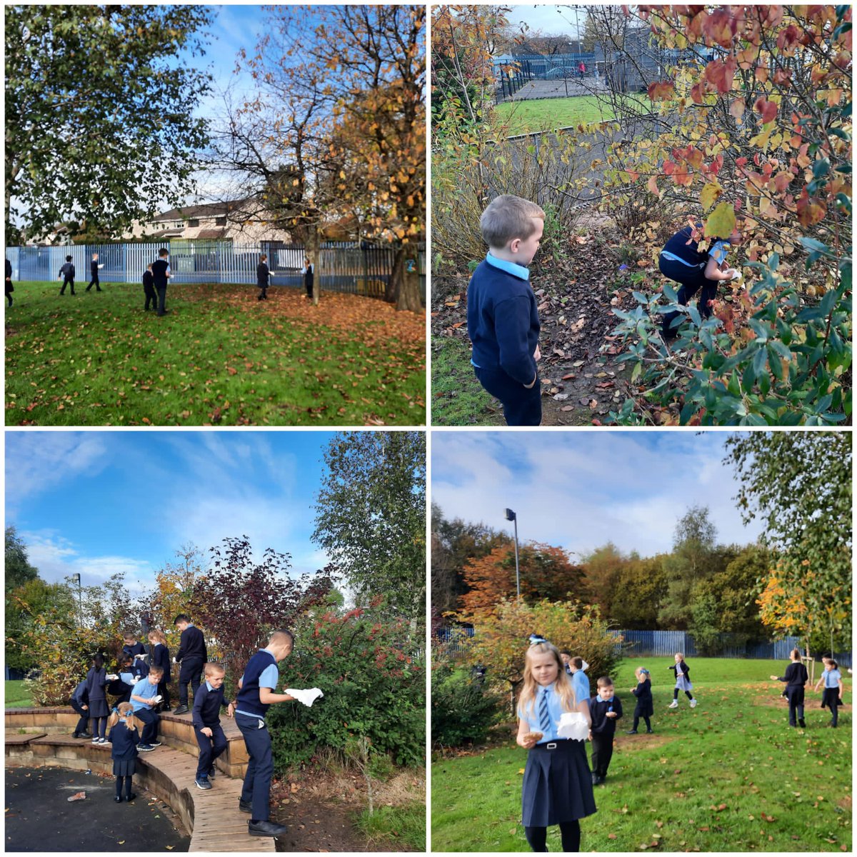 CarnbroePS's tweet photo. P3 and P1 put their bird food outside and wrote their promises to help climate change on leaves today! ๐ ๐ #COP26 #treeofpromises https://t.co/gmVBM0CAbq