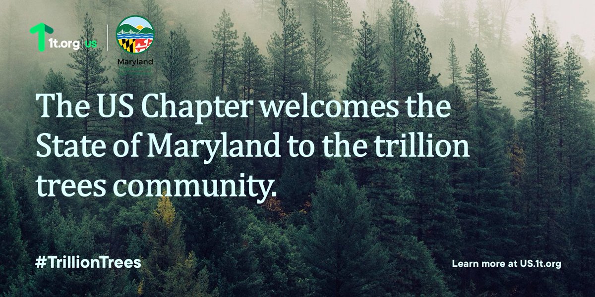 ForestsPlus's tweet photo. We are excited to share that @StateMaryland has joined the #TrillionTree community with a pledge to grow 5 million trees by 2030! #ConserveRestoreGrow #COP26 https://t.co/DTgUYWRavr
📷: Welcome graphic https://t.co/vtX84GCmsp