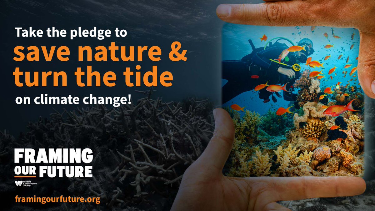 Climate crisis is growing more dire every day. Intense storms, frequent forest fires, & rising sea level pose a growing threat to all life on earth. Protecting nature isn’t just the right thing to do-it’s what we MUST do. Take the pledge secure.wcs.org/campaign/stand… #FramingOurFuture