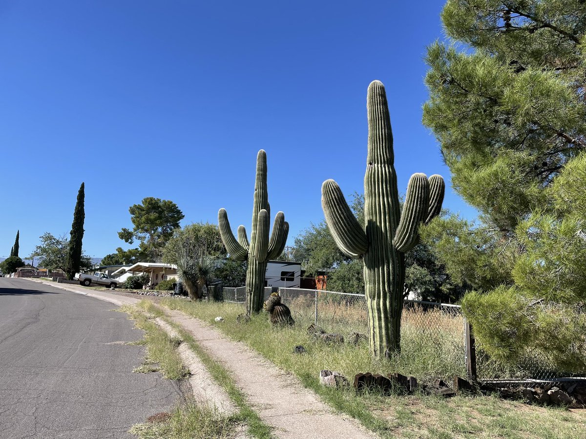 tbreadnwater's tweet photo. Residents in the small community of San Manuel northeast of Tucson are not waiting for others to fix their problems. On  @AZ360show with host @lorrainerivera, we’ll tell you about their cooperative efforts to improve their situation. https://t.co/1rahkbn192