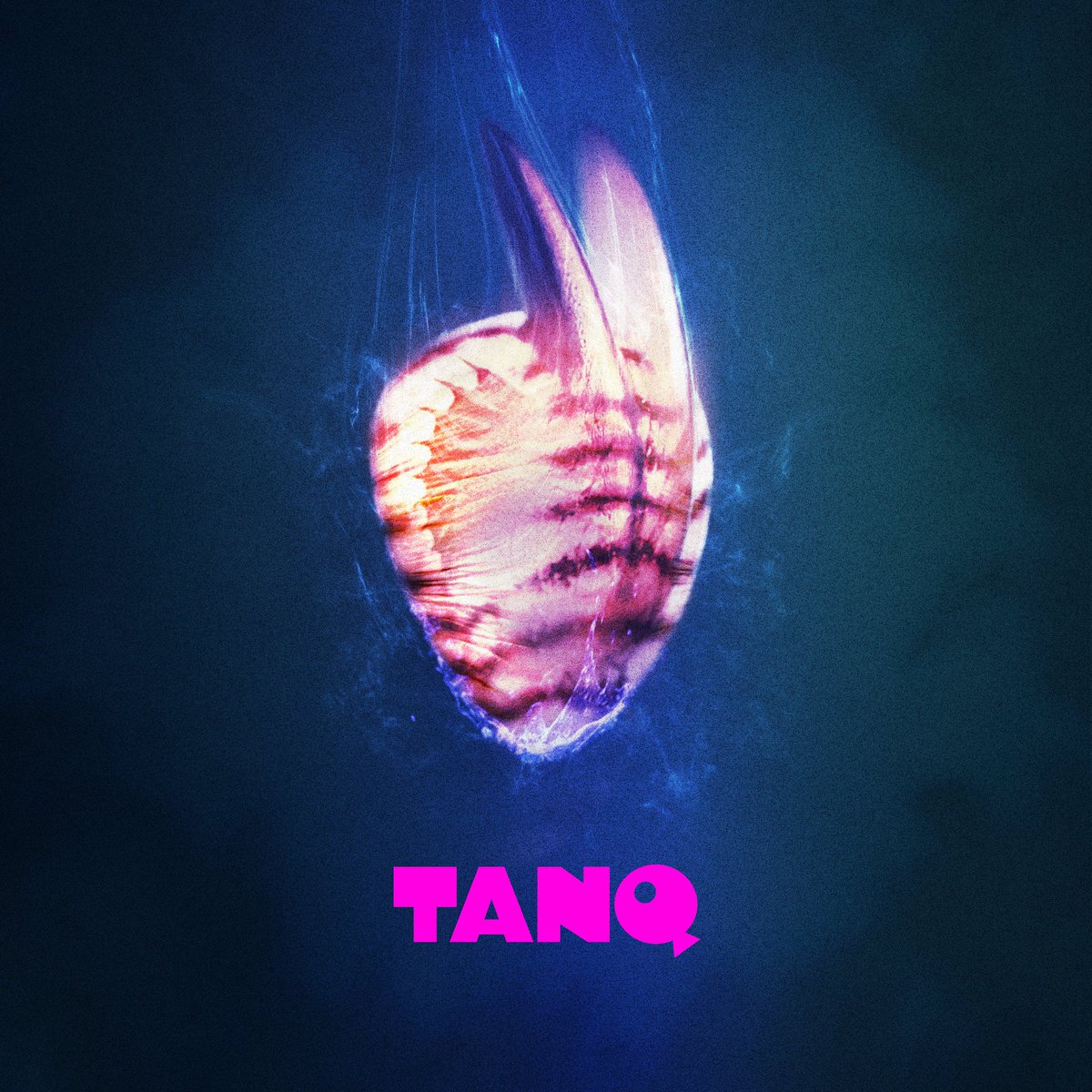 Clawhammer Embryo.  What wonders live in the deep? What dynasties rule these waters? #lineage #dna #generation #ai #fish #community #gravygames #tanq #aquaverse
