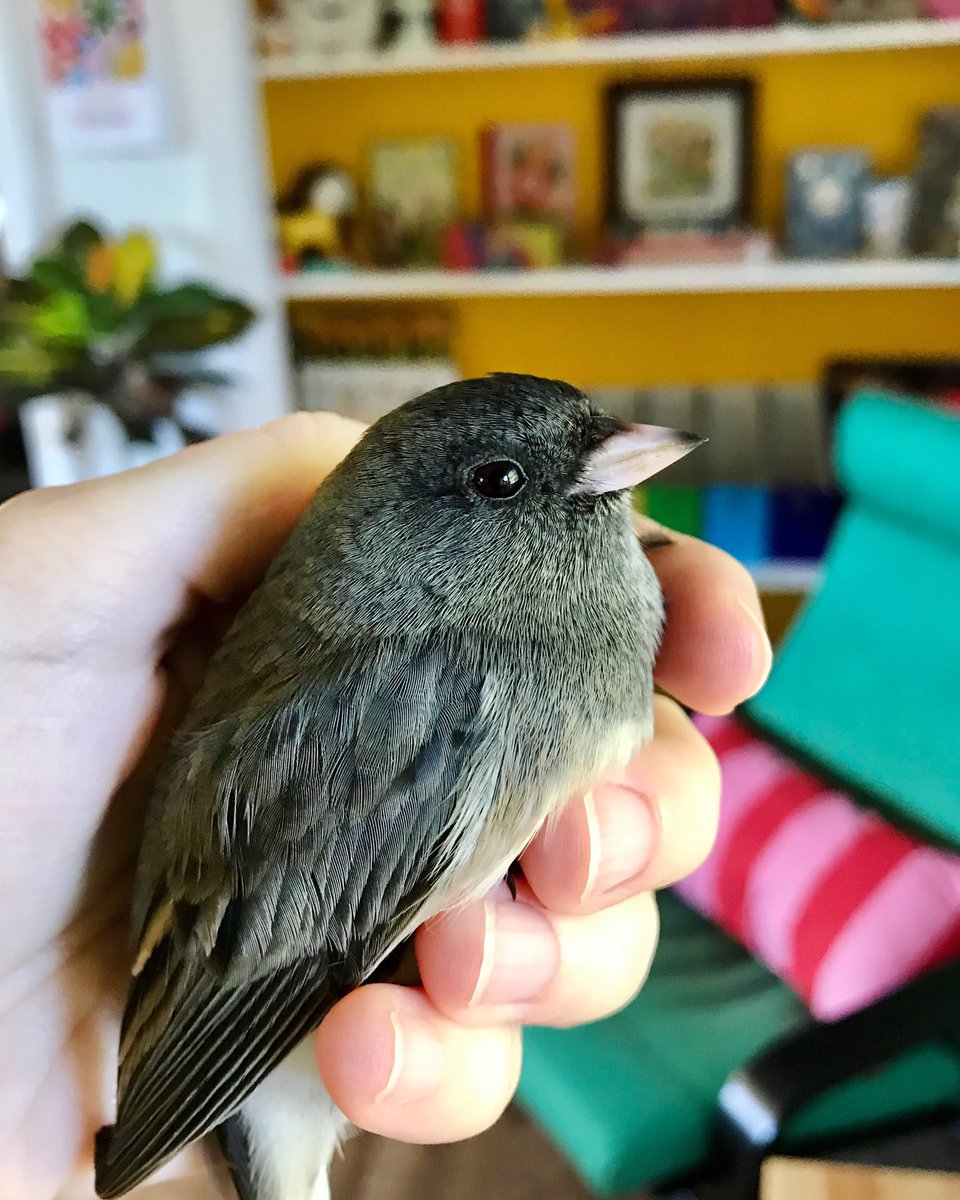 Heather Gray tweet media