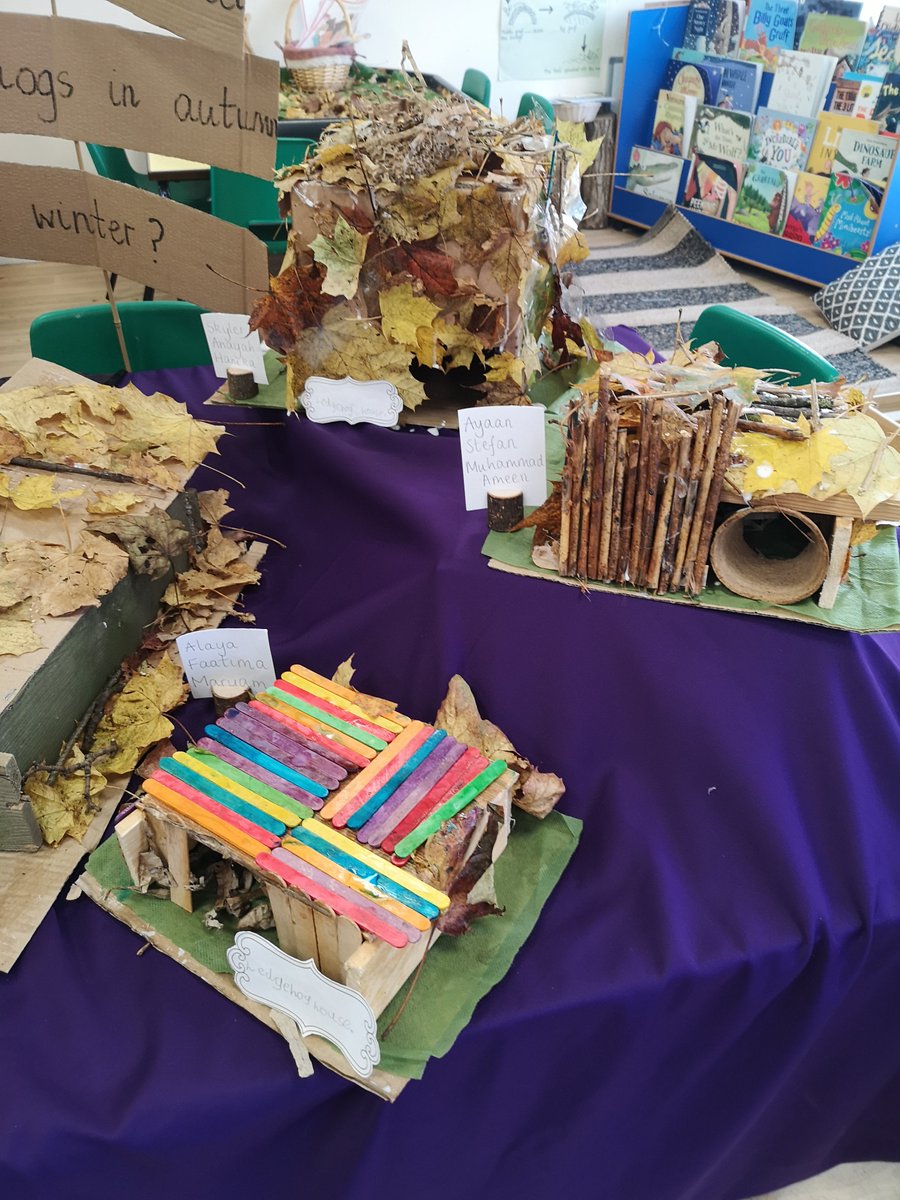 So incredibly proud of 1GS for solving the problem to how we can protect hedgehogs through hibernation during winter🦔

@HIAMrRichards @HIAMissNewman #STEMWeek