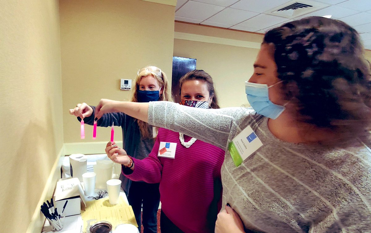 NEED_Project's tweet photo. Exploring the forms of energy & energy transformations with NEED’s Science of Energy session at the @MAscienceteach Conference today!
Big thank you to Nancy Gifford for presenting!
#MAST2021 #MAScienceTeach https://t.co/sMsb9QTKsA