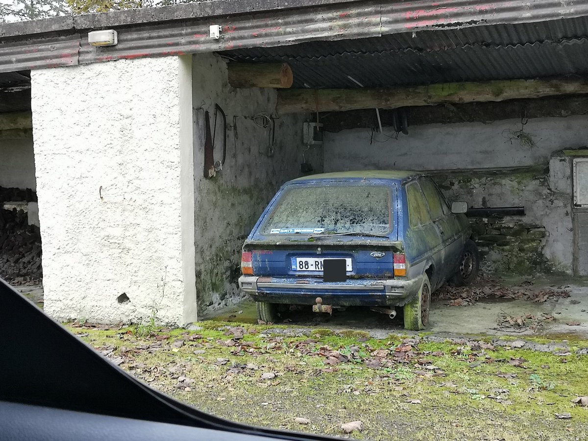 DamienBasquill's tweet photo. Rual Co.Mayo chod.
#hatchloon #garagequeen
@CrapCCollective @ChodSpot @chucklechod https://t.co/xhoIeL93Zy