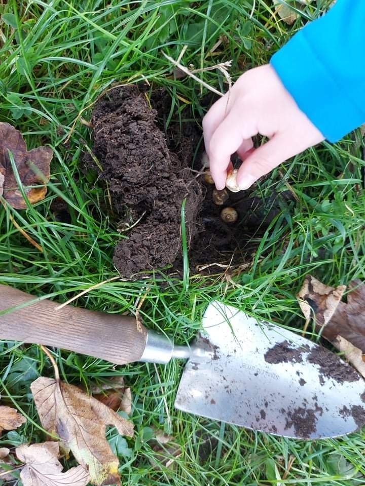 LangwathbyCe's tweet photo. Our Year 2 Badgers had a lovely time today, planting bulbs on the village green...🌷#growingsmiles #community #service #familyschool #stewardsoftheEarth #action https://t.co/NmXPuJDnua