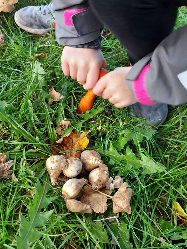 LangwathbyCe's tweet photo. Our Year 2 Badgers had a lovely time today, planting bulbs on the village green...🌷#growingsmiles #community #service #familyschool #stewardsoftheEarth #action https://t.co/NmXPuJDnua